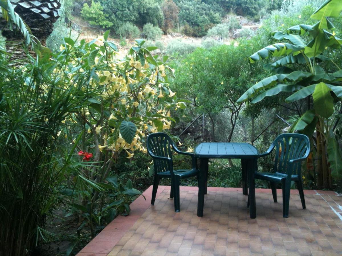 Stanza In Villa Con Giardino Vista Mare Чефалу Экстерьер фото